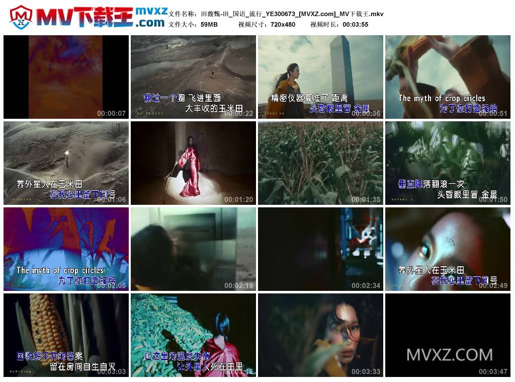 田馥甄-田_国语_流行_YE300673